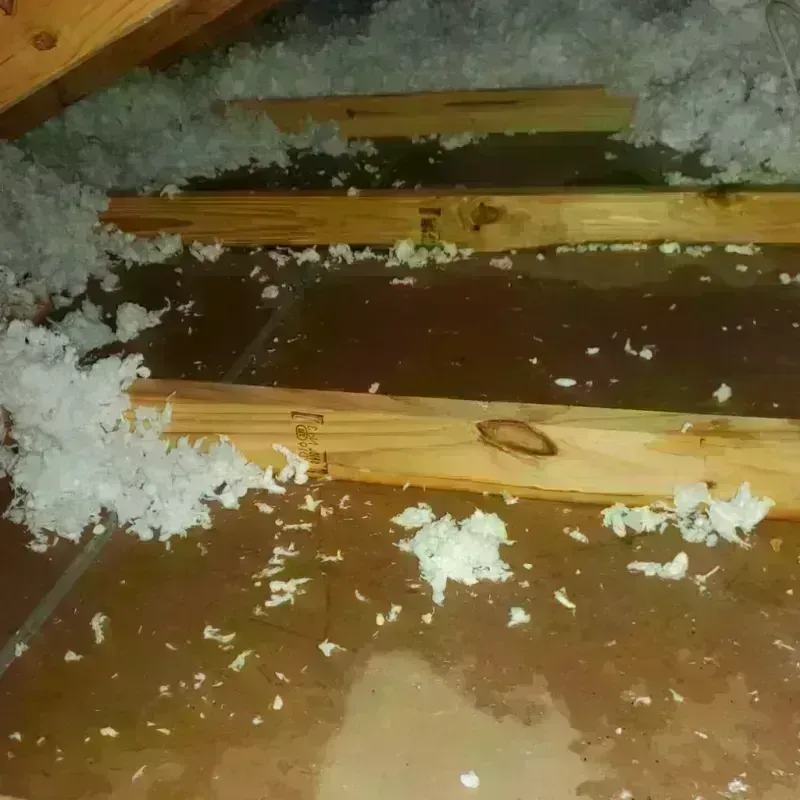 Attic Water Damage in Lookout Mountain, GA